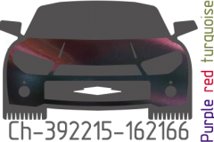 Purple red turquoise chameleon Ch-392215-162166