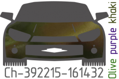 Olive purple khaki chameleon Ch-393215-161432